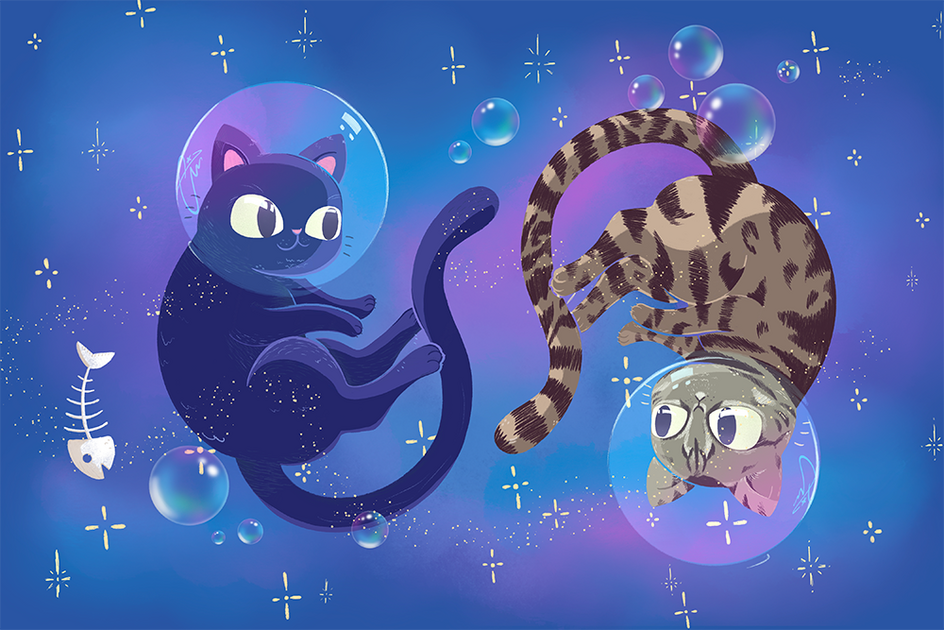 Space Cats